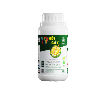 Số 19 - Hồi Cây