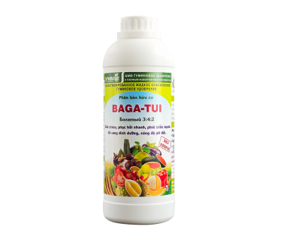 BAGA TUI 3-4-2