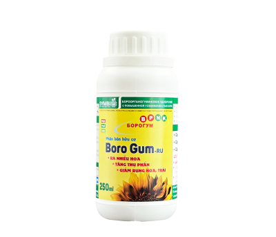 BORO GUM