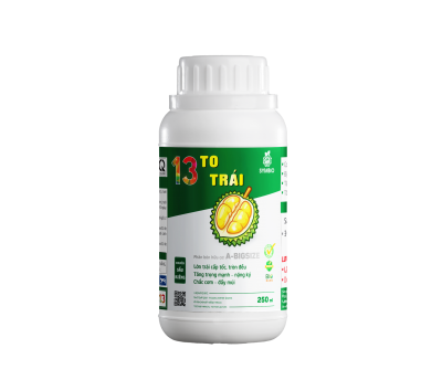 Số 13 - To Trái