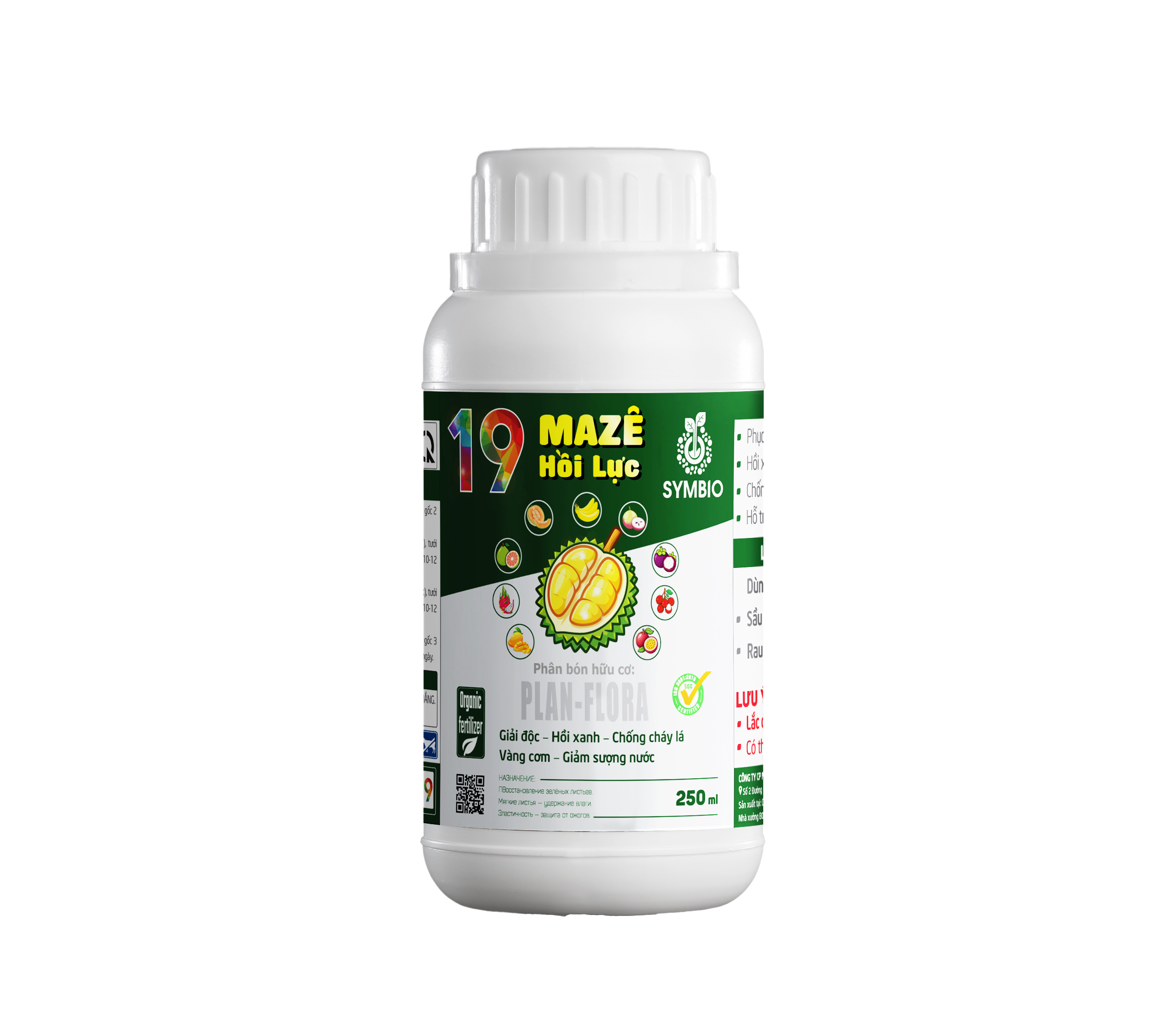 Số 19 - Maze Hồi Lực Cây