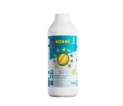 Số 2 - Kích Rễ