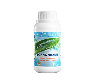 Loang Nhanh