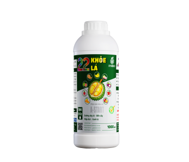 Số 22 - Khoẻ Lá