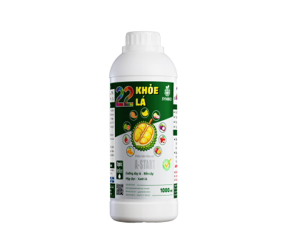 Số 22 - Khoẻ Lá