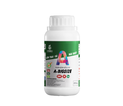 A-BIGSIZE